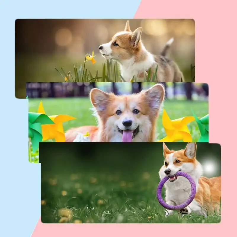 Прочный резиновый коврик для мыши Corgi X XL XXL, Нескользящая подушка, толщина 2 мм, LockEdge, аналог LE
Прочный резиновый коврик для мыши Corgi X XL XXL, Нескользящая подушка, толщина 2 мм, LockEdge, аналог LE