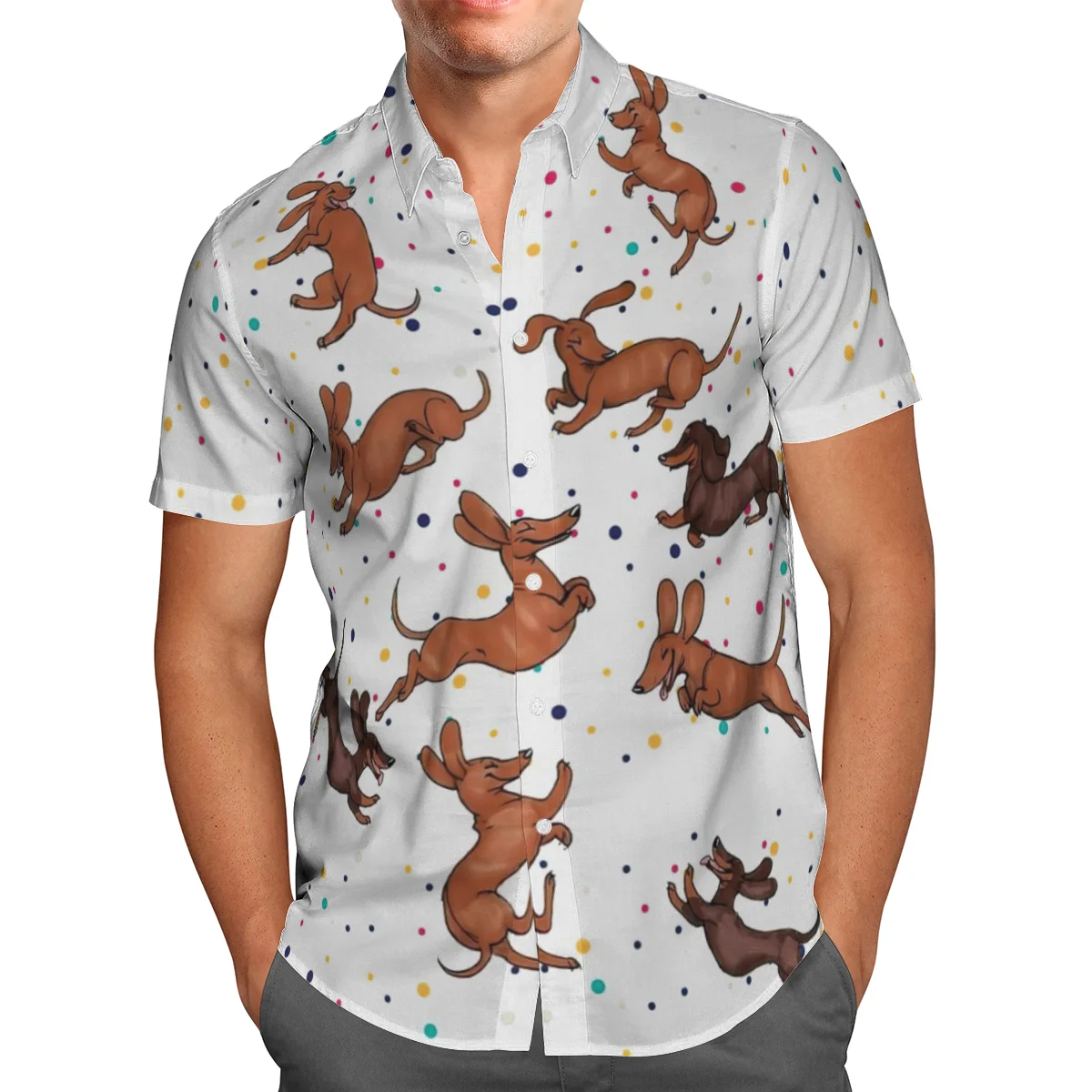 Animal Dog 3D Beach Hawaiian 2021 Summer Anime Shirt Short Sleeve Shirt Streetwear Oversized 5XL Camisa Social Chemise Homme-883
Animal Dog 3D Beach Hawaiian 2021 Summer Anime Shirt Short Sleeve Shirt Streetwear Oversized 5XL Camisa Social Chemise Homme-883