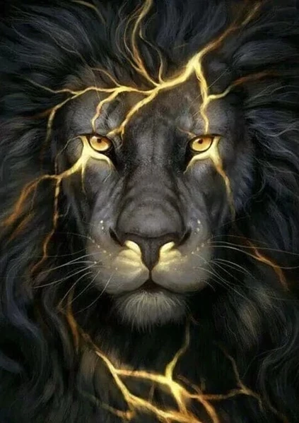GATYZTORY DIY 5D Diamond Painting Lion Full Drill Square Animal Diamond Embroidery Cross Stitch Mosaic Home Decoration Gift 
GATYZTORY DIY 5D Diamond Painting Lion Full Drill Square Animal Diamond Embroidery Cross Stitch Mosaic Home Decoration Gift