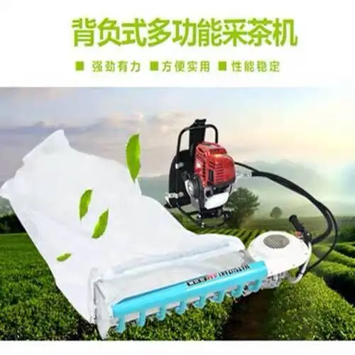 Hedge trimmer gasoline knapsack tea tree pruning machine tea cutting machine flower tree pruning machine
Hedge trimmer gasoline knapsack tea tree pruning machine tea cutting machine flower tree pruning machine