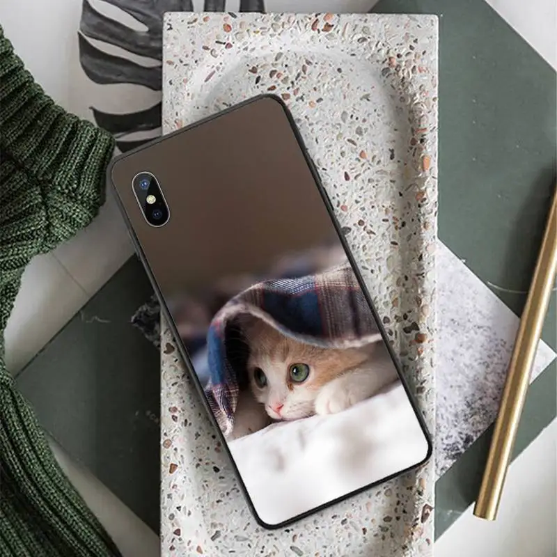 cute cat animal high quality funny Phone Case for iPhone 11 12 pro XS MAX 8 7 6 6S Plus X 5S SE 2020 XR
cute cat animal high quality funny Phone Case for iPhone 11 12 pro XS MAX 8 7 6 6S Plus X 5S SE 2020 XR