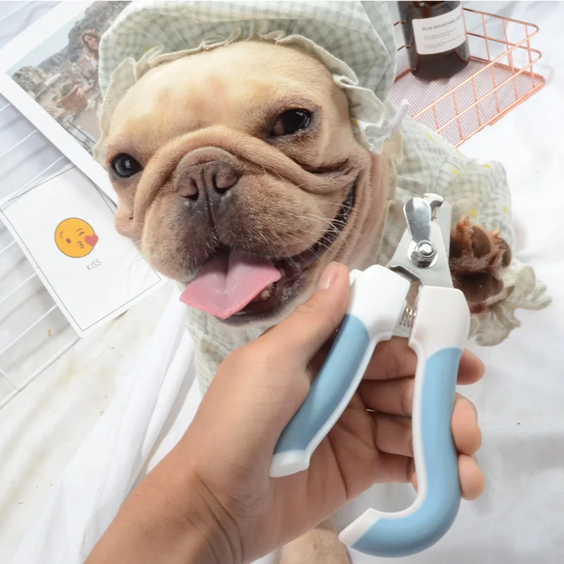 Professional Pet Nail Clippers Dog Cat Stainless Steel Two-color Labor-Saving Nail Clippers Convenient Beauty Cleaning Supplies
Professional Pet Nail Clippers Dog Cat Stainless Steel Two-color Labor-Saving Nail Clippers Convenient Beauty Cleaning Supplies