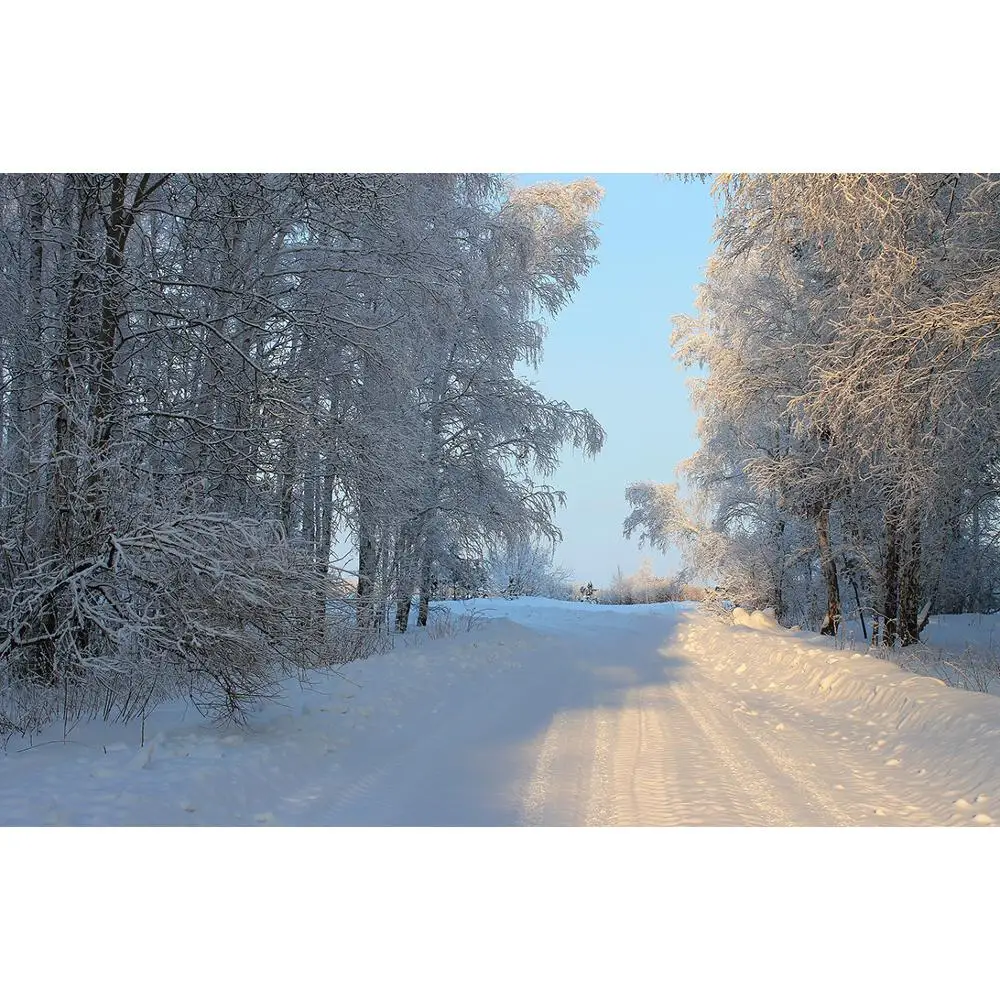 ZHISUXI Vinyl Custom Photography Backdrops Prop Winter landscape Theme Photography Background 200309HD-010
ZHISUXI Vinyl Custom Photography Backdrops Prop Winter landscape Theme Photography Background 200309HD-010