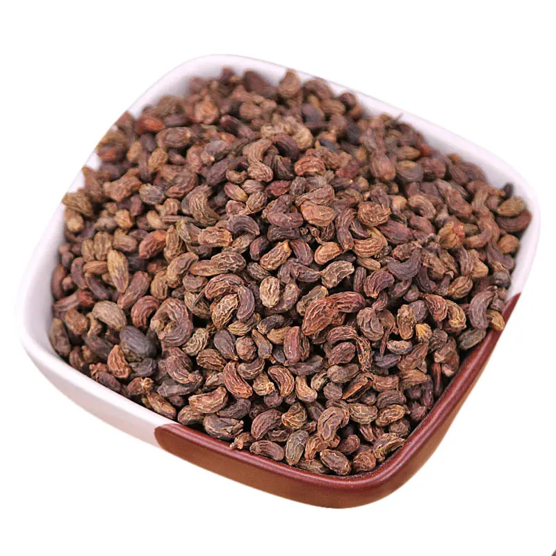 Glossy Privet Fruit/Ligustri Lucidi Fructus/Nu Zhen Zi Chinese Herbal Medicine 
Glossy Privet Fruit/Ligustri Lucidi Fructus/Nu Zhen Zi Chinese Herbal Medicine