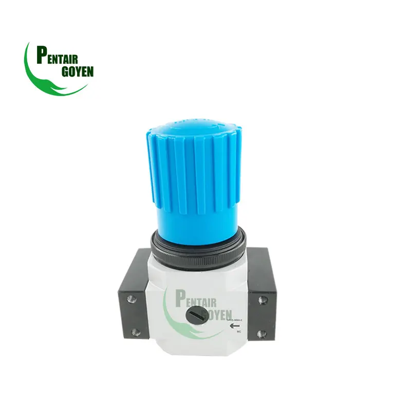 LR Pressure Regulators LR-MINI-1/4 MIDI-1/2 MAXI-1 Air filter Air source treatment unit Fest-o D type
LR Pressure Regulators LR-MINI-1/4 MIDI-1/2 MAXI-1 Air filter Air source treatment unit Fest-o D type