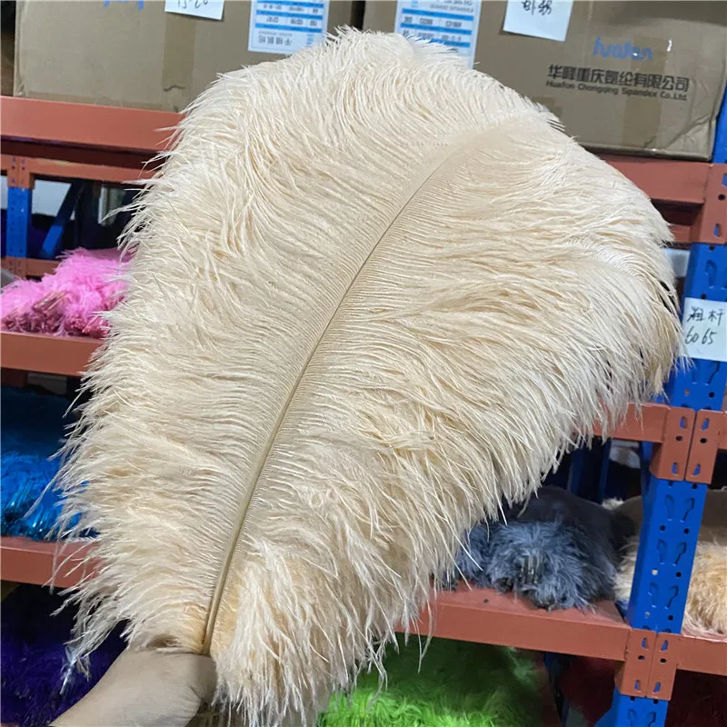 Wholesale 20-100pcs/lot Champagne Grace Ostrich Feather 24-26 inches/60-65cm Diy Craft Supplies Accessories Dancers Plumas
Wholesale 20-100pcs/lot Champagne Grace Ostrich Feather 24-26 inches/60-65cm Diy Craft Supplies Accessories Dancers Plumas