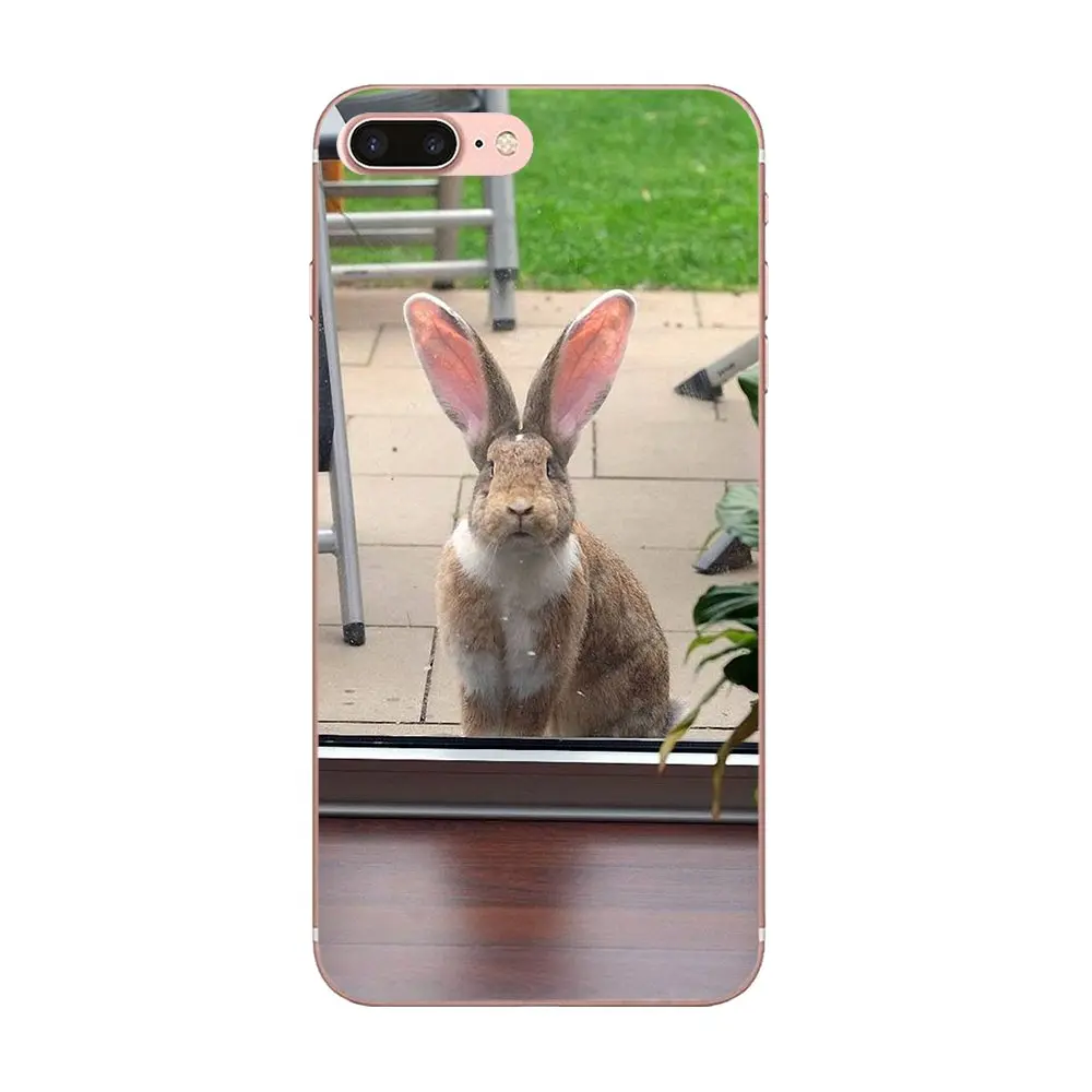 Мягкий крутой жесткий чехол с милым сердечком для Samsung Galaxy A10 A20 A20E A3 A40 A5 A50 A7 J1 J3 J4 J5