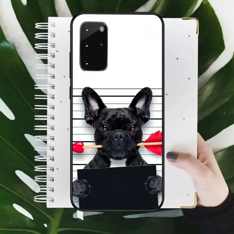 Cute Funny French Bulldog Phone Case For Samsung galaxy S 9 10 20 A 10 21 30 31 40 50 51 71 s note 20 j 4 2018 plus
Cute Funny French Bulldog Phone Case For Samsung galaxy S 9 10 20 A 10 21 30 31 40 50 51 71 s note 20 j 4 2018 plus