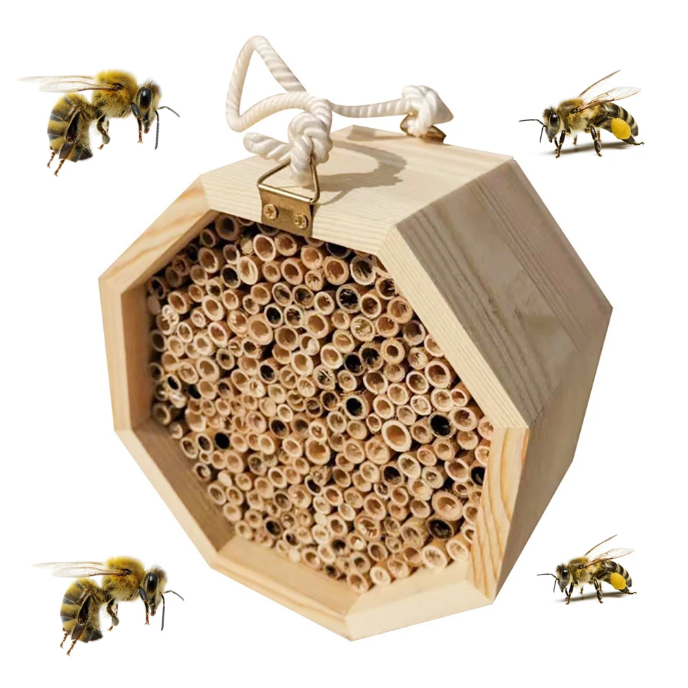 Mason Bee House Refillable Nesting Box Handmade Natural Bamboo Bee Hive Attracts Peaceful Bee Pollinators
Mason Bee House Refillable Nesting Box Handmade Natural Bamboo Bee Hive Attracts Peaceful Bee Pollinators