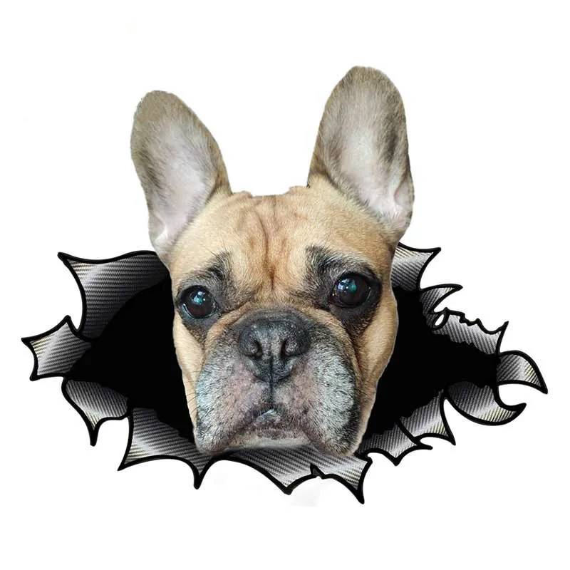3D Animal Car Stickers Decor Motorcycle Decals Pug Dog Car Sticker Decorative Accessories Creative Sunscreen Waterproof Kk10cm 
3D Animal Car Stickers Decor Motorcycle Decals Pug Dog Car Sticker Decorative Accessories Creative Sunscreen Waterproof Kk10cm