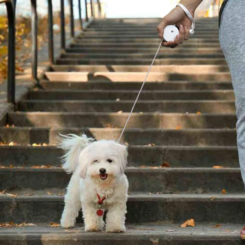 Automatic retractable leash round small dog dog leash pet supplies mini dog leash
Automatic retractable leash round small dog dog leash pet supplies mini dog leash