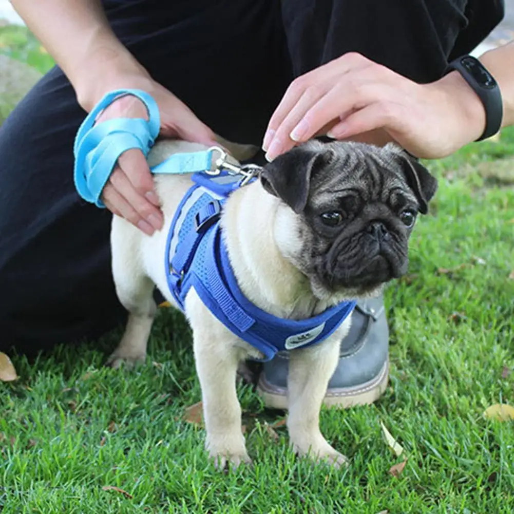 Cat Dog Adjustable Harness Vest Walking Lead Leash For Puppy Dogs Collar Polyester Mesh Harness For Small Medium Dog Cat Pet 
Cat Dog Adjustable Harness Vest Walking Lead Leash For Puppy Dogs Collar Polyester Mesh Harness For Small Medium Dog Cat Pet