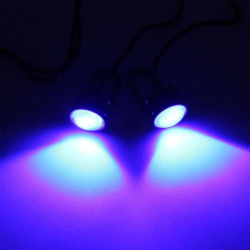 Universal 12V Car LED Lights Motorcycle License Plate Turn Signals Super Bright Rear Reverse Backup Brake Lamp Fog Bulb
Universal 12V Car LED Lights Motorcycle License Plate Turn Signals Super Bright Rear Reverse Backup Brake Lamp Fog Bulb