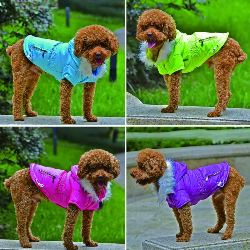 Winter Warm Pet Dog Clothes Casual Zipper Waist Design Small Dog Coat Soft Fur Hoodies Puppy Dog Jacket Clothing
Winter Warm Pet Dog Clothes Casual Zipper Waist Design Small Dog Coat Soft Fur Hoodies Puppy Dog Jacket Clothing
