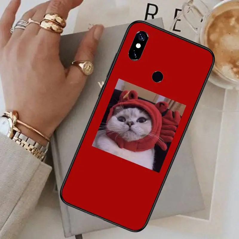 Cute Cats Phone Case For Xiaomi Redmi 7 8 9t a3Pro 9se k20 mi8 max3 lite 9 note 9s 10 pro
Cute Cats Phone Case For Xiaomi Redmi 7 8 9t a3Pro 9se k20 mi8 max3 lite 9 note 9s 10 pro