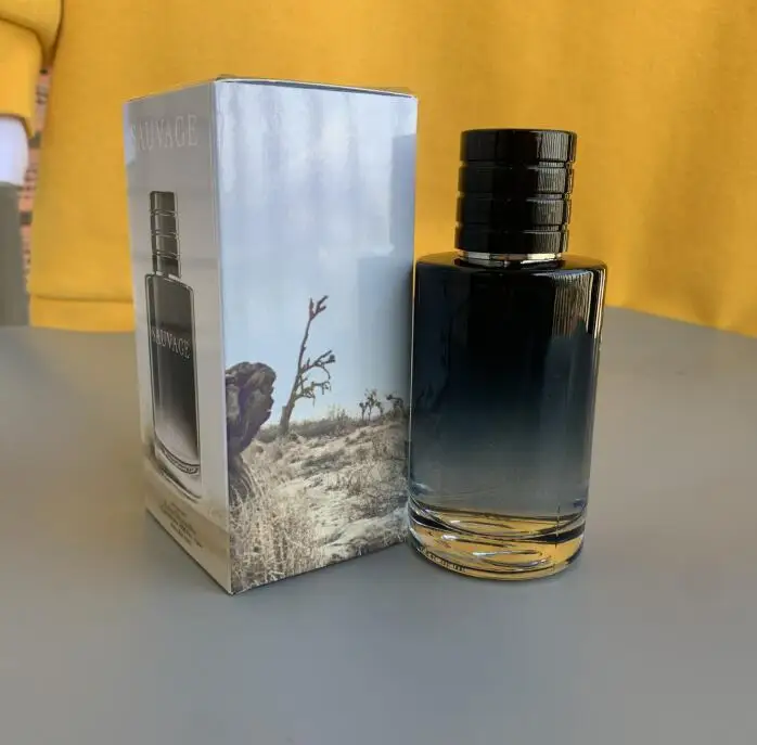 

Hot SAU VAGEDE Perfume For Men Perfumer Francois Demachy Spray Cologne Parfum Lasting Classic Men's Fragrance EDP/EDT 100ml