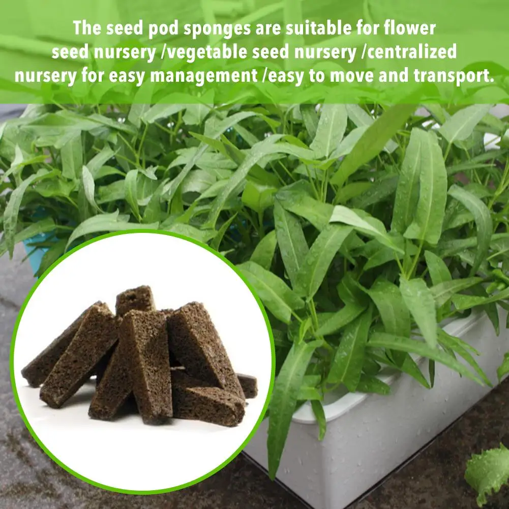 Seed Pod Sponges Seed Starter Sponge Pods Replacements Root Growth Sponge Plugs For Hydroponic Indoor Garden Seed Starting
Seed Pod Sponges Seed Starter Sponge Pods Replacements Root Growth Sponge Plugs For Hydroponic Indoor Garden Seed Starting