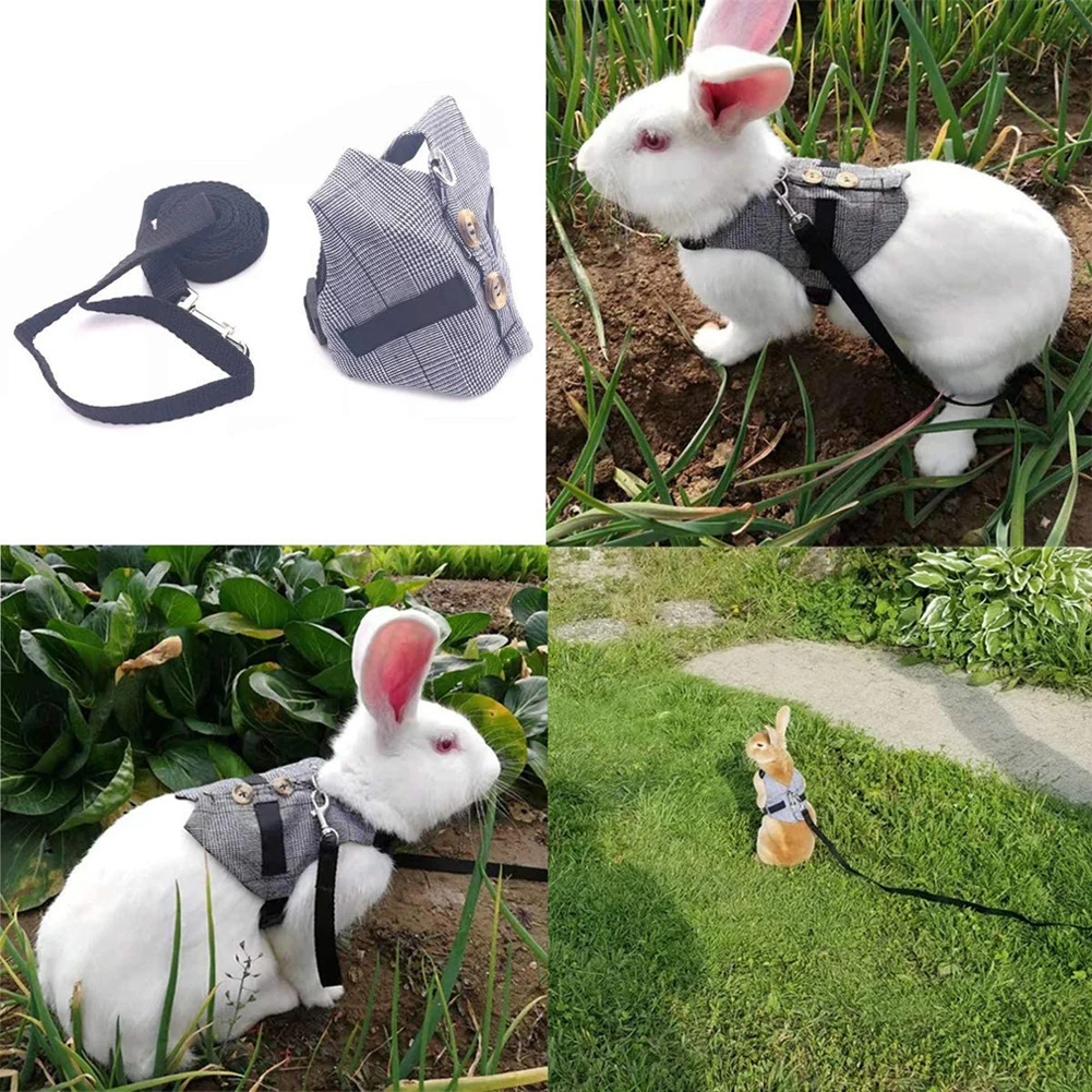 Hamster Rabbit Dog Harness Vest Small Animals Hamster Accessories Pet Puppy Harness Leash Lead Set For Ferret Guinea Pig Kitten 
Hamster Rabbit Dog Harness Vest Small Animals Hamster Accessories Pet Puppy Harness Leash Lead Set For Ferret Guinea Pig Kitten