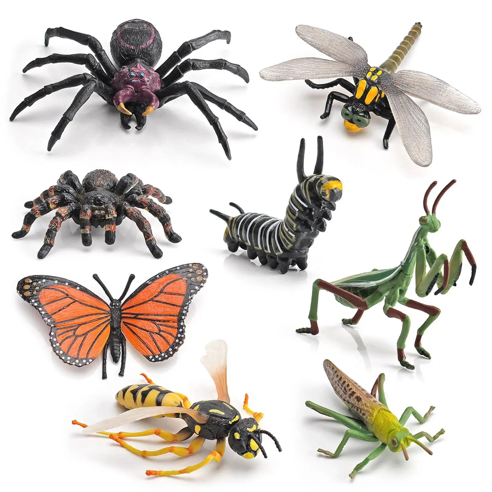 8x Realistic Insect Models Party Favor Playset Collection Animal Toys for Children
8x Realistic Insect Models Party Favor Playset Collection Animal Toys for Children