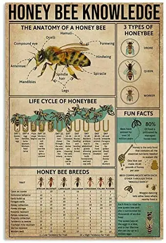 Honey Bee Knowledge Metal Tin Sign Retro Flower Animal Plant Metal Tray Plaque Garden House Sign 8 X 12inch
Honey Bee Knowledge Metal Tin Sign Retro Flower Animal Plant Metal Tray Plaque Garden House Sign 8 X 12inch