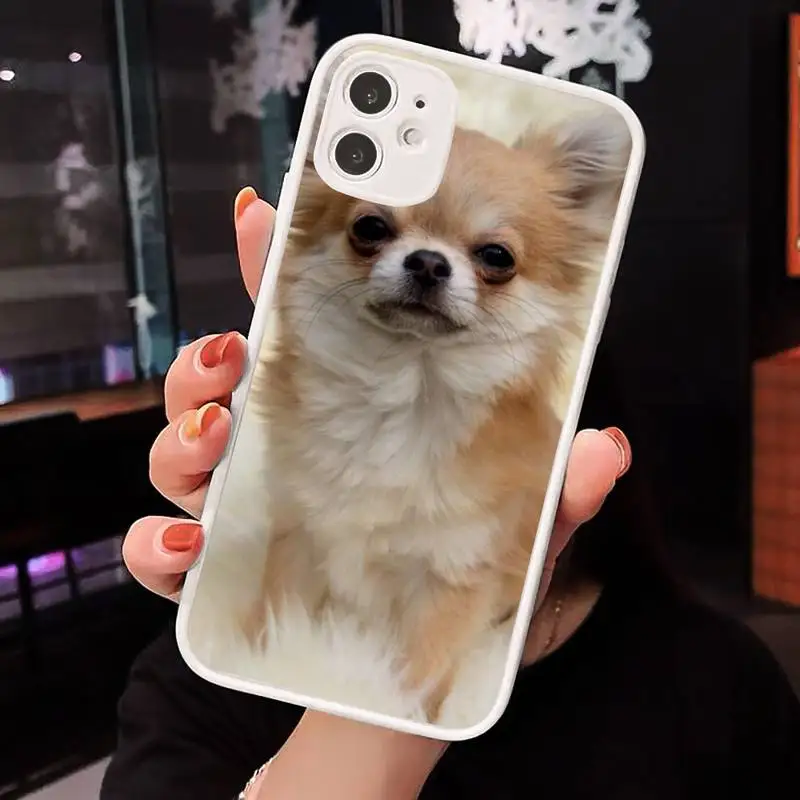 cute lovely Animal Chihuahua dog Phone Case Matte Transparent for iPhone 7 8 11 12 s mini pro X XS XR MAX Plus cover funda
cute lovely Animal Chihuahua dog Phone Case Matte Transparent for iPhone 7 8 11 12 s mini pro X XS XR MAX Plus cover funda