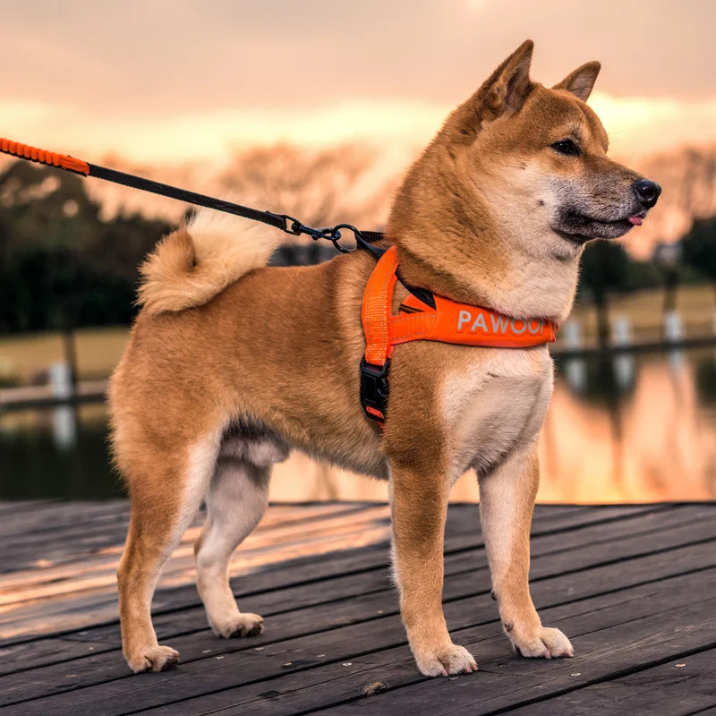 Dog automatic retractable traction rope walking dog shrinking small, medium and large dog explosion-proof red Shiba dog walking
Dog automatic retractable traction rope walking dog shrinking small, medium and large dog explosion-proof red Shiba dog walking