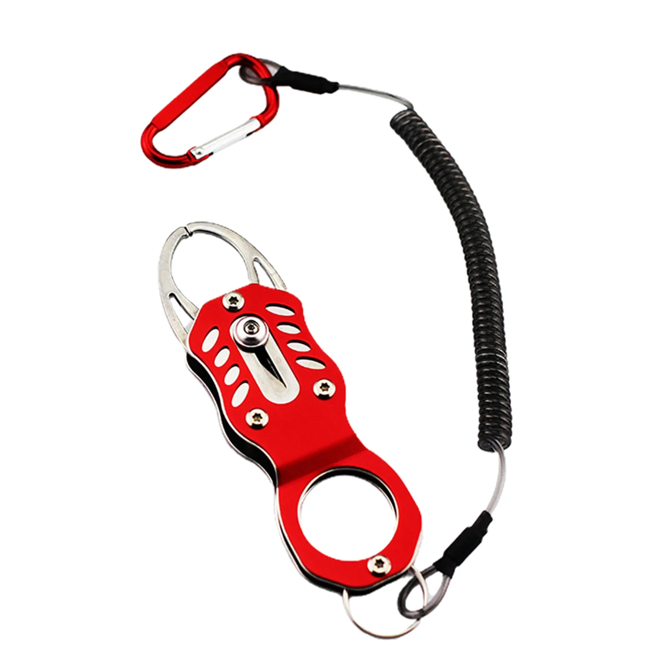 1 шт., рыболовный мини-захват из нержавеющей стали 
1 шт., рыболовный мини-захват из нержавеющей стали