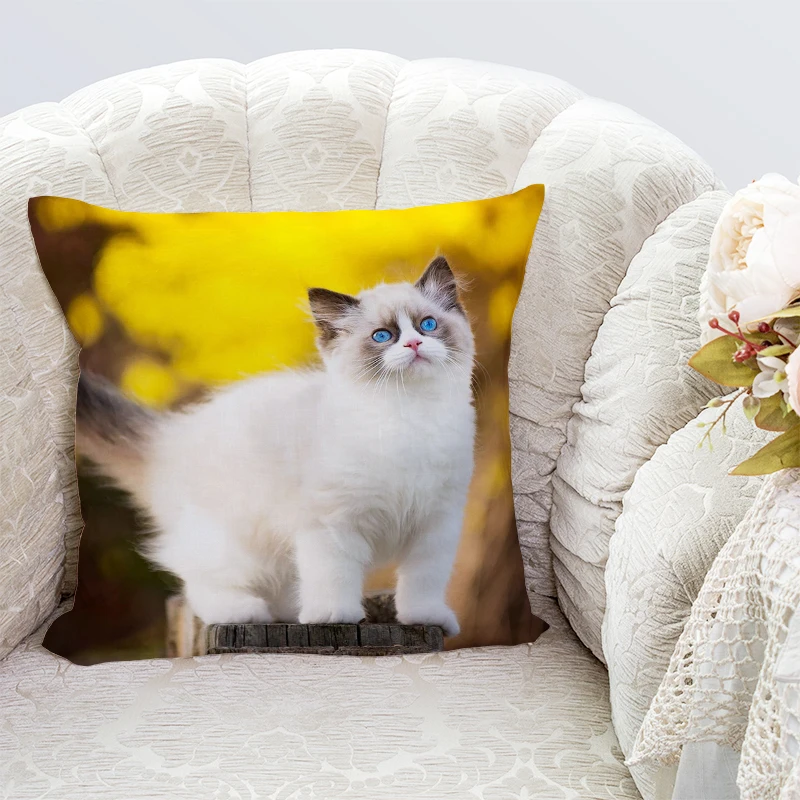 Various sizes Throw Pillow case Cotton polyester interesting Sofa Bed Home Decorative Pillowcases
Various sizes Throw Pillow case Cotton polyester interesting Sofa Bed Home Decorative Pillowcases