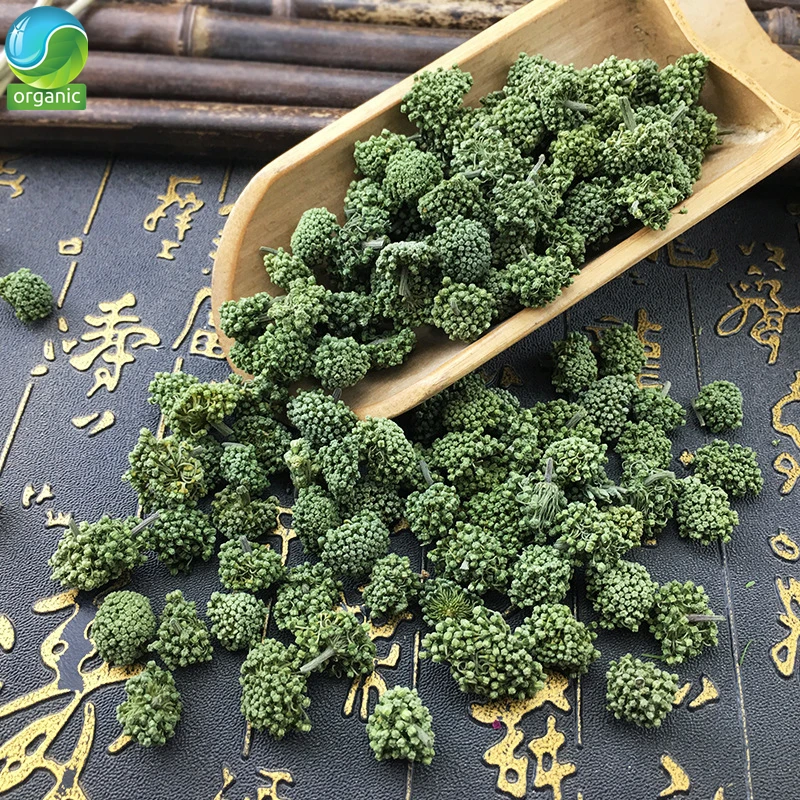 100% Nature Panax Tseng Stemless Panax Notoginseng Flower Dried Flowers Tea Dried San Qi Hua Tea
100% Nature Panax Tseng Stemless Panax Notoginseng Flower Dried Flowers Tea Dried San Qi Hua Tea