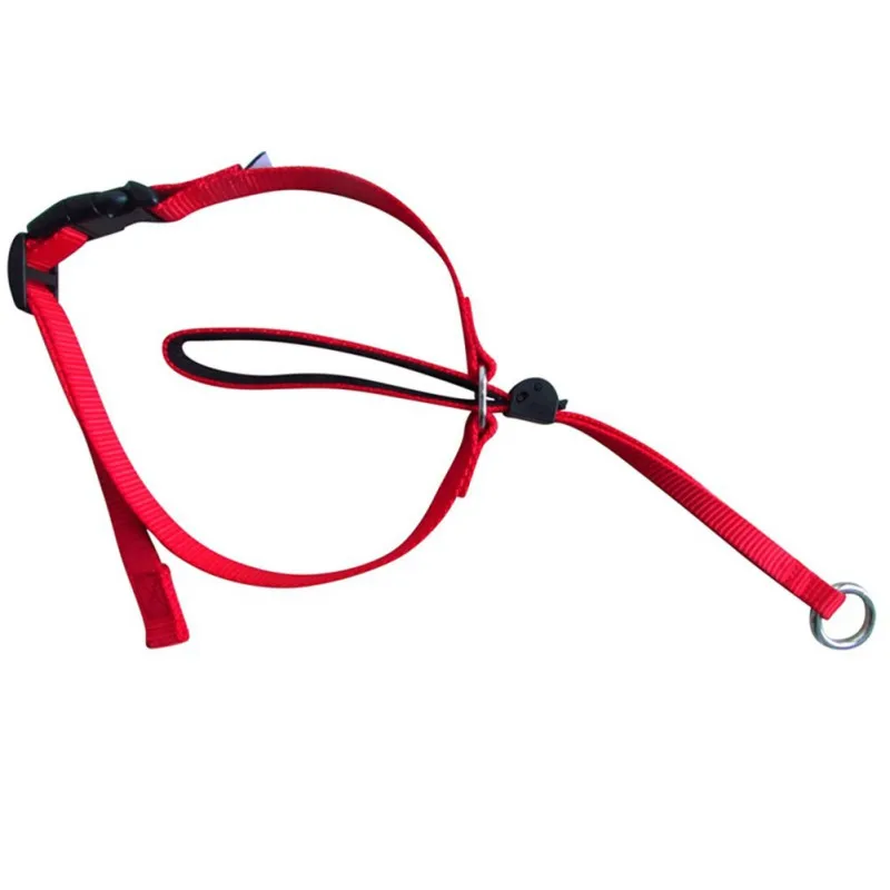 New Pet Headcollar For Dogs Gentle Control Training Collars No-Pull Painless Head Leash Collar
New Pet Headcollar For Dogs Gentle Control Training Collars No-Pull Painless Head Leash Collar