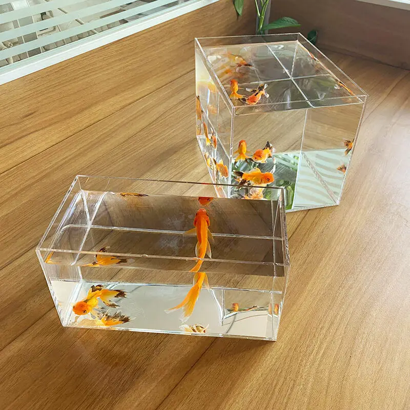 Betta Fish Display Rack Multi-grid Desktop Creative Small Fish Tank Ecological Tank Acrylic Storage Box Without Cover
Betta Fish Display Rack Multi-grid Desktop Creative Small Fish Tank Ecological Tank Acrylic Storage Box Without Cover