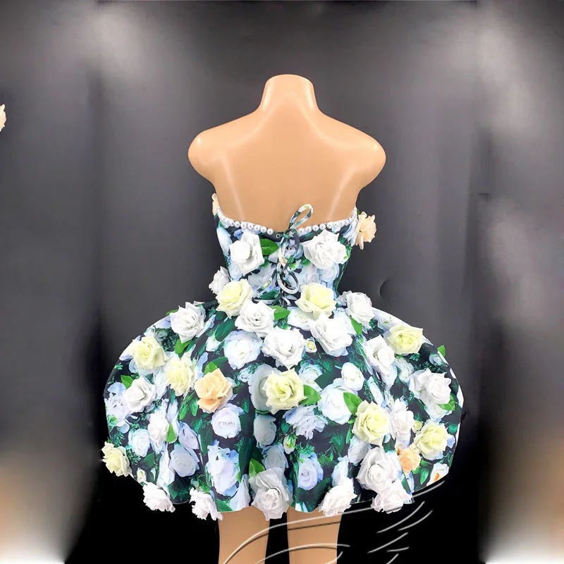 Nightclub Song Acting Dance Dress Women Party Stage Rose Shape Short Dress Fluffy Dress Birthday Celebrate Prom Wear XS1093
Nightclub Song Acting Dance Dress Women Party Stage Rose Shape Short Dress Fluffy Dress Birthday Celebrate Prom Wear XS1093