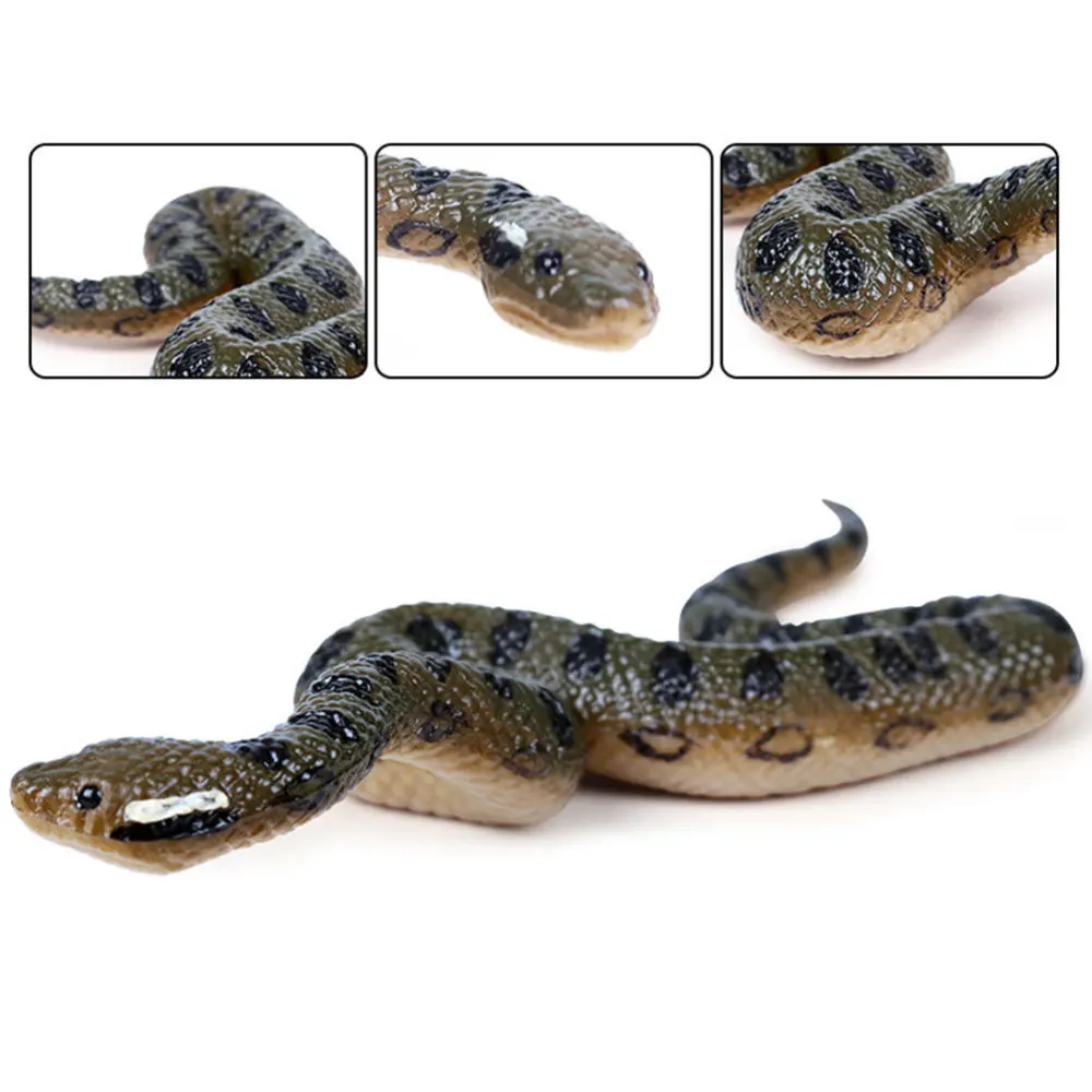 Simulation Amphibian Props Animal Snake Party Tricky Props Fake Snakes Simulation Animal Prop for April Fool's Day
Simulation Amphibian Props Animal Snake Party Tricky Props Fake Snakes Simulation Animal Prop for April Fool's Day