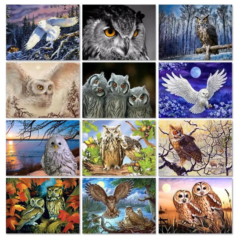 GATYZTORY DIY Paint By Numbers For Adults Animal Handpainted Gift Oil Painitng By Numbers Eagle Acrylic Paint Home Decor Unframe
GATYZTORY DIY Paint By Numbers For Adults Animal Handpainted Gift Oil Painitng By Numbers Eagle Acrylic Paint Home Decor Unframe