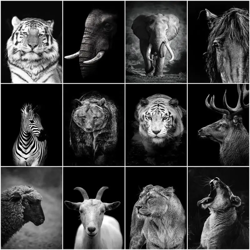 CHENISTORY Paint By Number Elephant Goat Kits Handpainted Picture Art Painting By Numbers Animal Drawing On Canvas Gift Home Dec
CHENISTORY Paint By Number Elephant Goat Kits Handpainted Picture Art Painting By Numbers Animal Drawing On Canvas Gift Home Dec