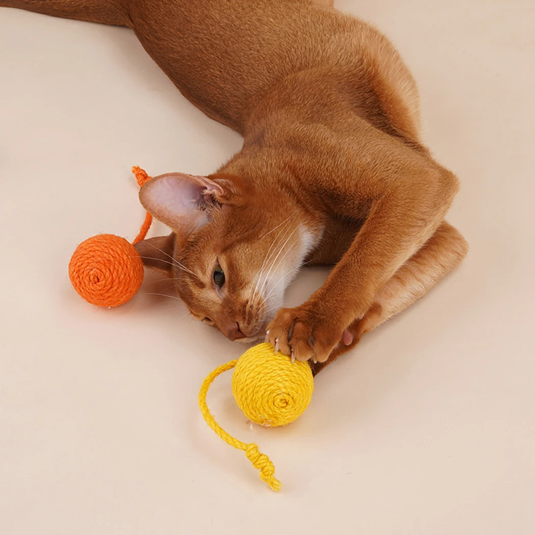 1pc Hot Selling Rope Ball Cat Toy Interaction Squeaky Sisal Teeth Cleaning Cat Chew Toy Cat Wand Refill Cat Supplies Multicolor
1pc Hot Selling Rope Ball Cat Toy Interaction Squeaky Sisal Teeth Cleaning Cat Chew Toy Cat Wand Refill Cat Supplies Multicolor