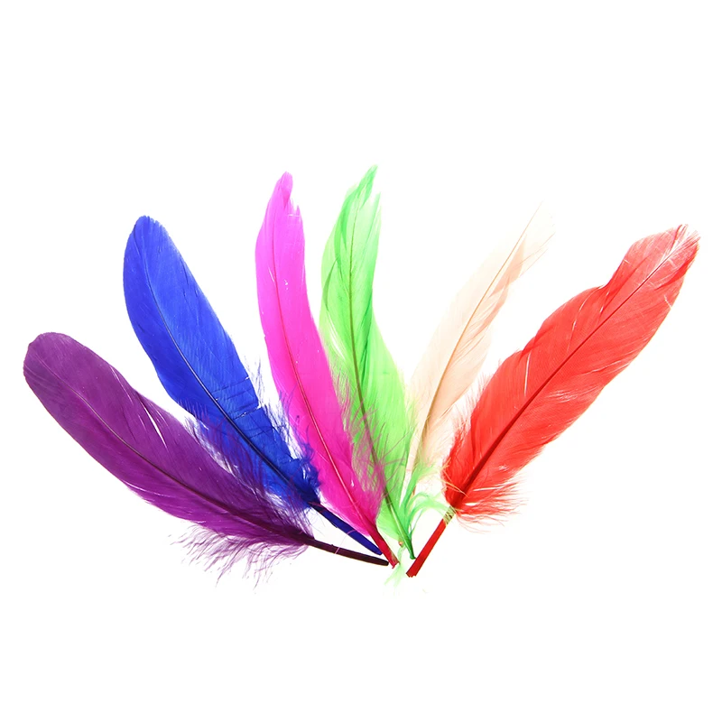 72 Pieces Craft Wild Goose Tail Wing Feather Millinery Mixed Colors 12-20Cm
72 Pieces Craft Wild Goose Tail Wing Feather Millinery Mixed Colors 12-20Cm