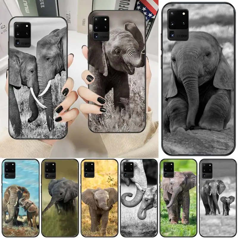 ZFGHSHYQ Mom And Baby Elephant Soft Cover Phone Case For Samsung A51 71 31 40 30s 21s S9 10 20 Plus Note9 10pro 20 20ultra
ZFGHSHYQ Mom And Baby Elephant Soft Cover Phone Case For Samsung A51 71 31 40 30s 21s S9 10 20 Plus Note9 10pro 20 20ultra