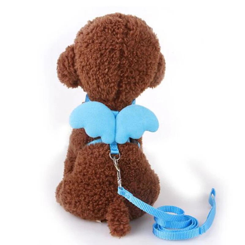 Cute Angel Pet Dog Leashes And Collars Set Puppy Leads For Small Dogs Cats Designer Wing Adjustable Harness Pet Accessories
Cute Angel Pet Dog Leashes And Collars Set Puppy Leads For Small Dogs Cats Designer Wing Adjustable Harness Pet Accessories