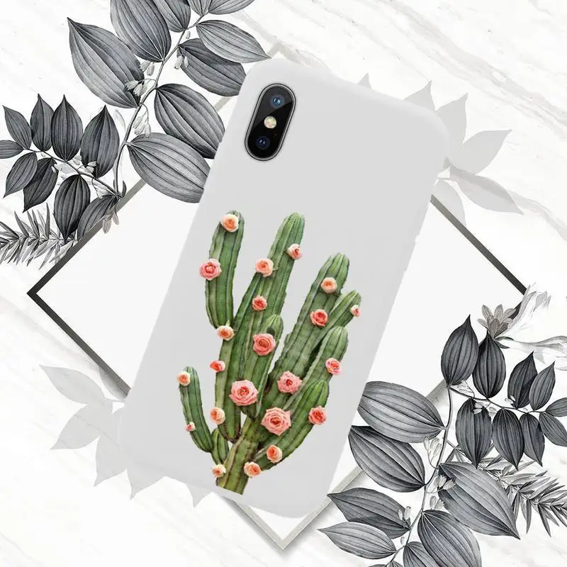 Cute cactus Phone Case Candy Color for iPhone 11 12 mini pro XS MAX 8 7 6 6S Plus X SE 2020 XR
Cute cactus Phone Case Candy Color for iPhone 11 12 mini pro XS MAX 8 7 6 6S Plus X SE 2020 XR