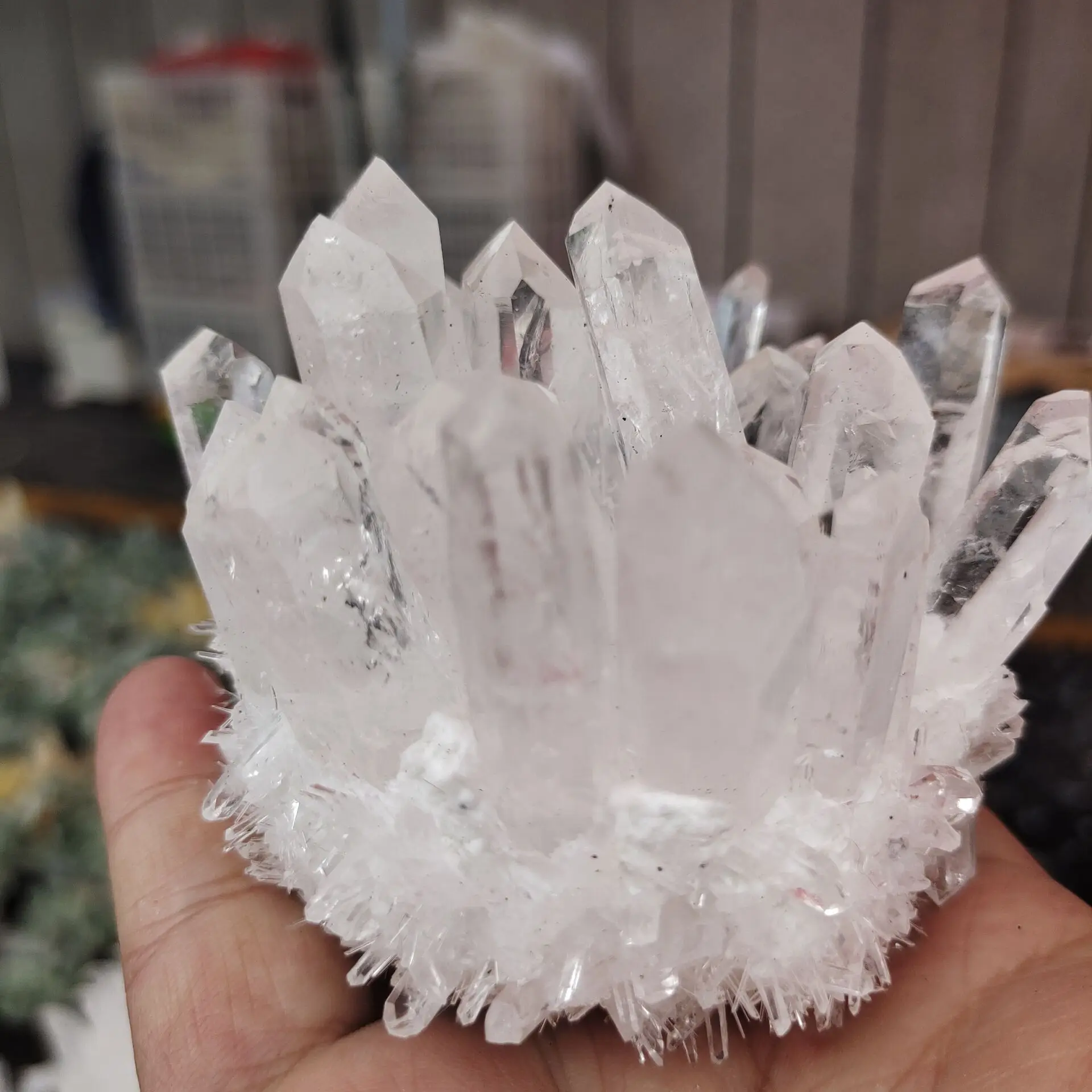 1pcs Natural White Crystal Druse Quartz Vug Crystal Cluster Decoration Chakra Healing Reiki Stone Column Point Radiation
1pcs Natural White Crystal Druse Quartz Vug Crystal Cluster Decoration Chakra Healing Reiki Stone Column Point Radiation