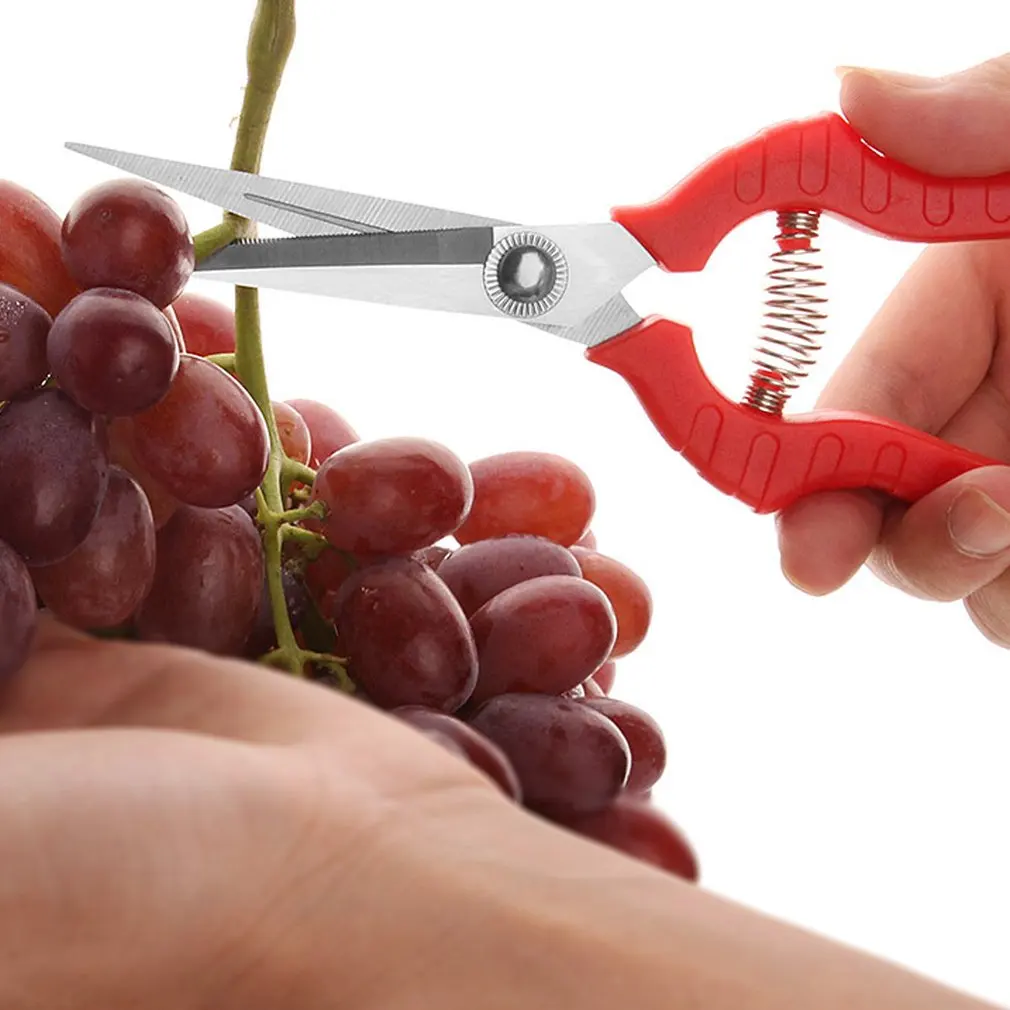 New Garden Pruning Fruit Shears Orchard Picking Scissors Potted Trim Weed Branches Flower Sharp Scissors Gardening Hand Tools
New Garden Pruning Fruit Shears Orchard Picking Scissors Potted Trim Weed Branches Flower Sharp Scissors Gardening Hand Tools
