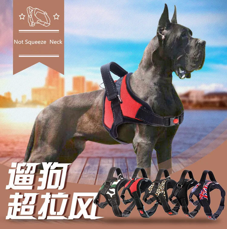 Pet Supplies Medium and Large Dogs Leash Pet Chest Harness Pet Products Chow Chow Bulldog Samoha Chismao Nylon Reflective Leash 
Pet Supplies Medium and Large Dogs Leash Pet Chest Harness Pet Products Chow Chow Bulldog Samoha Chismao Nylon Reflective Leash