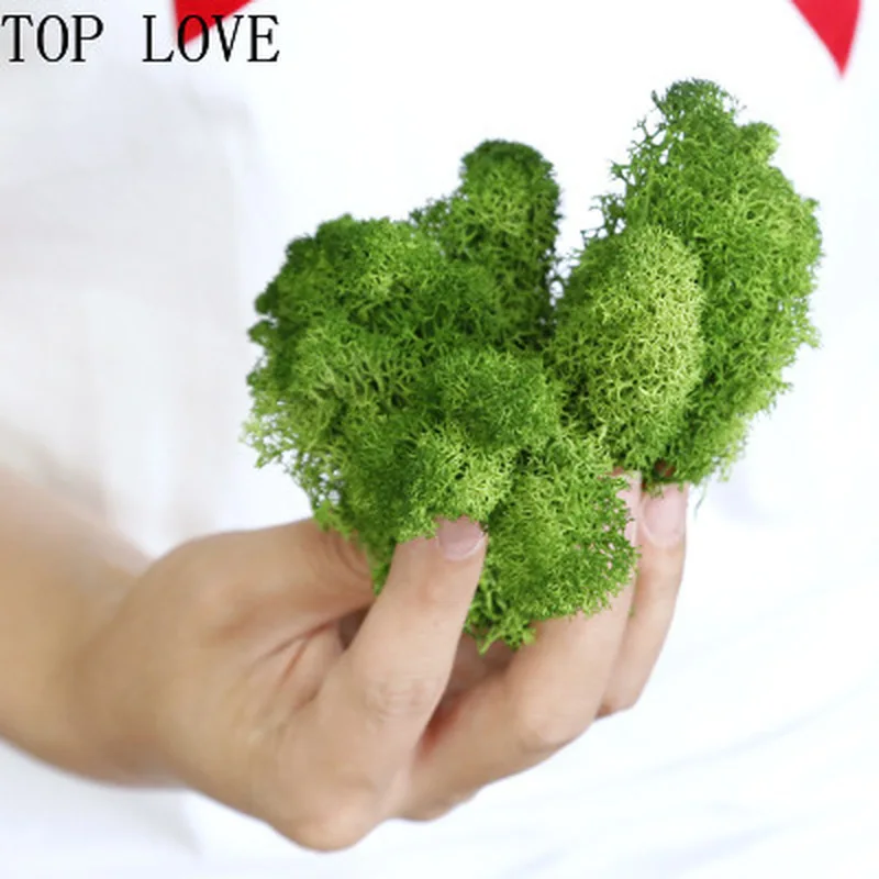 500g multicolor artificial green plant fairy false flower Carex home living room decoration wall DIY flower mini accessories
500g multicolor artificial green plant fairy false flower Carex home living room decoration wall DIY flower mini accessories