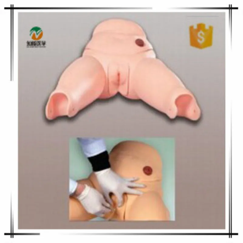 Chinon Male Urethral Catheterization Simulator Medical Science Student Training Teaching Tools Medical Model Vulva BIX-H70/2 
Chinon Male Urethral Catheterization Simulator Medical Science Student Training Teaching Tools Medical Model Vulva BIX-H70/2