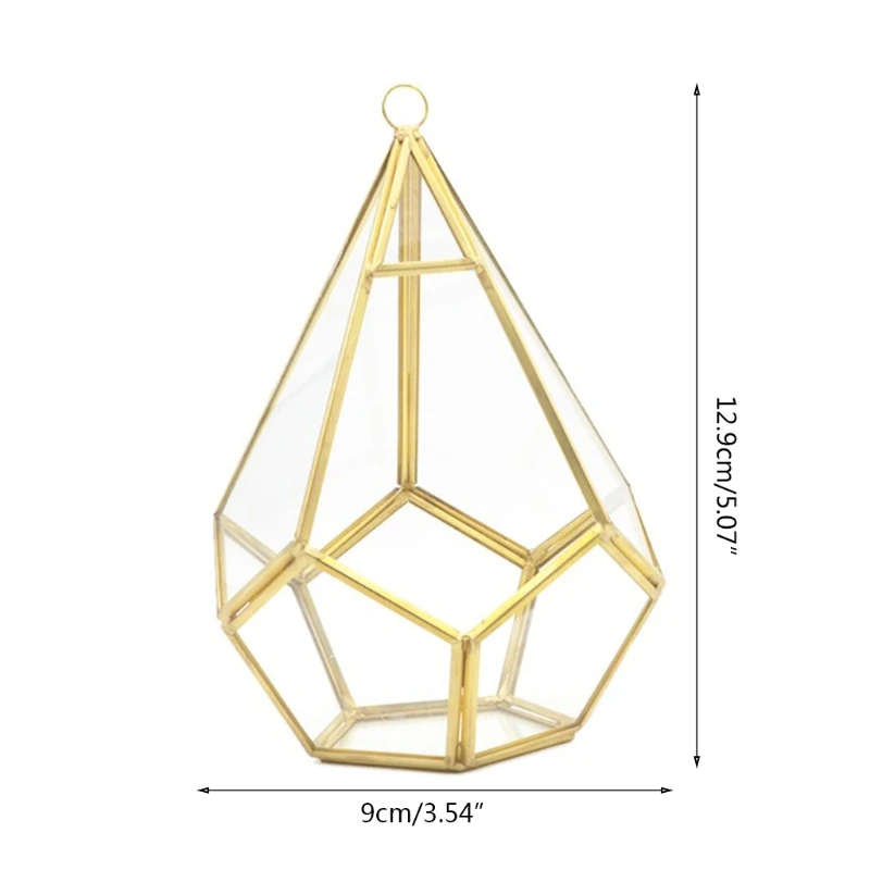 Gold Wall Geometric Terrarium Indoor Opening Polyhedron Tabletop Window Sill Balcony Plant Holder Pot Container Decor C7AE
Gold Wall Geometric Terrarium Indoor Opening Polyhedron Tabletop Window Sill Balcony Plant Holder Pot Container Decor C7AE
