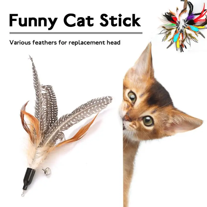 Feather Replacement Head Colorful Interactive Funny Cat Stick Replacement Head Cat Supplies Cat Play Training Toy Accessories
Feather Replacement Head Colorful Interactive Funny Cat Stick Replacement Head Cat Supplies Cat Play Training Toy Accessories