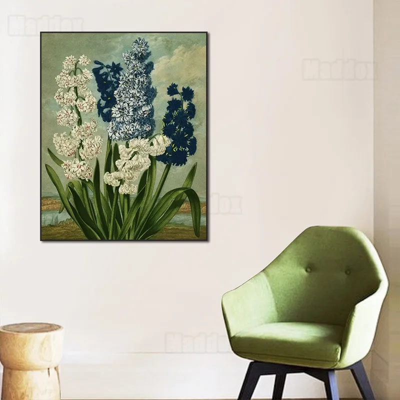 Canvas Painting Wall Art Double-Petal Hippeastrum Imported From Holland Large Group of Colored Flowers Bedroom Hall Decor Poster
Canvas Painting Wall Art Double-Petal Hippeastrum Imported From Holland Large Group of Colored Flowers Bedroom Hall Decor Poster