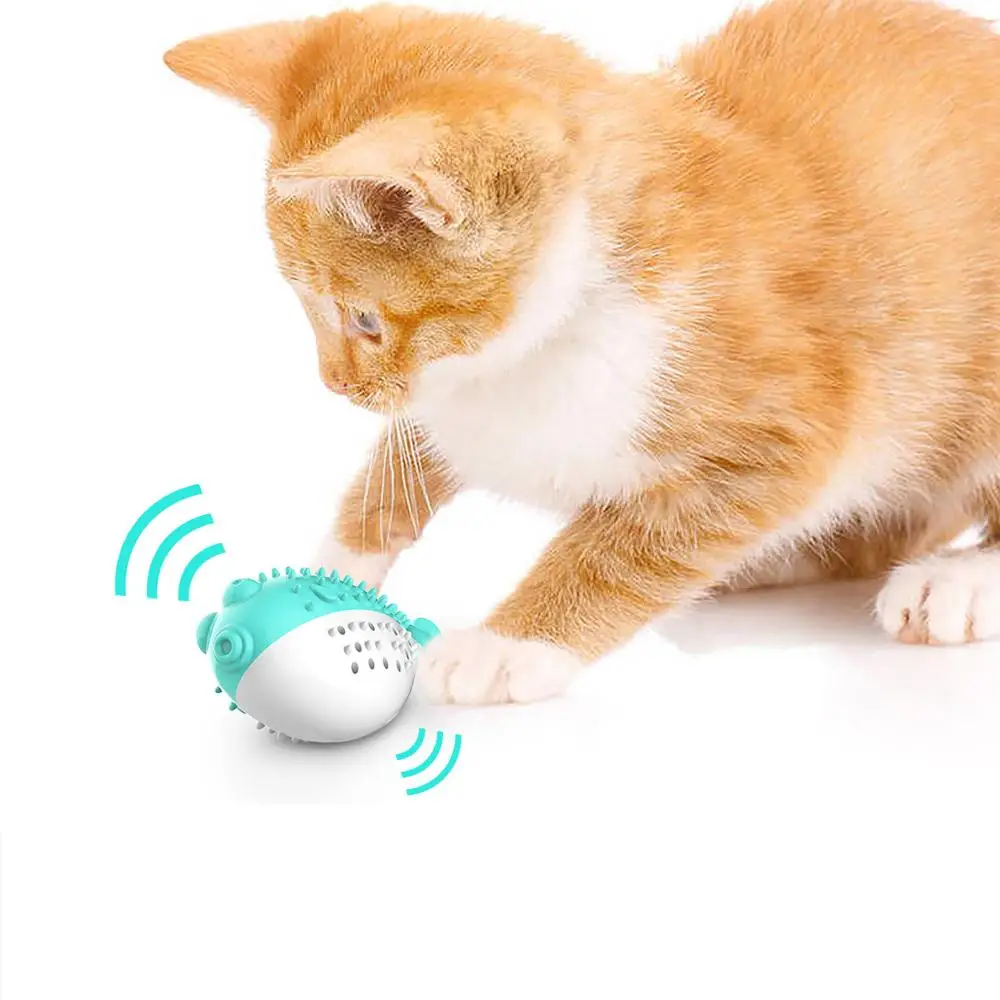Catnip Cat Toy Funny Cats Toothbrush Chewing Kitten Toys Traning Playing Pet Toys Simulation Silicone Teeth Cleaning Puppy Toy
Catnip Cat Toy Funny Cats Toothbrush Chewing Kitten Toys Traning Playing Pet Toys Simulation Silicone Teeth Cleaning Puppy Toy