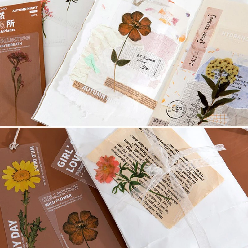 5pcs Nature Plants Bookmarks Translucent Flower Book Note Marker Page Holder Stationery Office School Reading Gift
5pcs Nature Plants Bookmarks Translucent Flower Book Note Marker Page Holder Stationery Office School Reading Gift